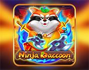 Ninja Raccoon